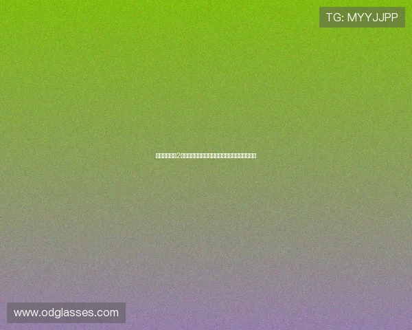 口袋妖怪黑白2二周目全流程图文详解与隐藏要素攻略指南大全版